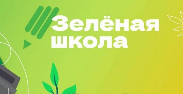 Раздельный сбор отходов: куда сдать полезные отходы.